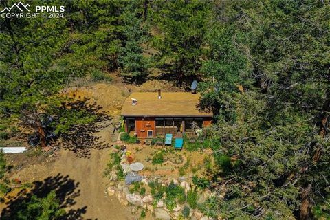 202 County Road 368 Lake George CO 80827