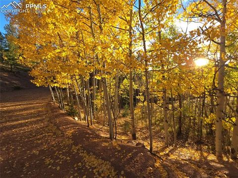 Photo of 899 Little Topsey Drive, Cripple Creek, CO 80813 (MLS # 7134756)