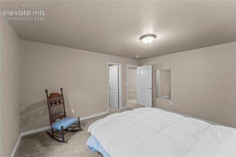 Tiny photo for 2823 Cinnabar Road, Colorado Springs, CO 80921 (MLS # 5786577)