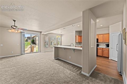 Tiny photo for 2823 Cinnabar Road, Colorado Springs, CO 80921 (MLS # 5786577)