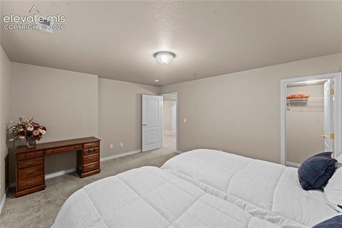 Tiny photo for 2823 Cinnabar Road, Colorado Springs, CO 80921 (MLS # 5786577)