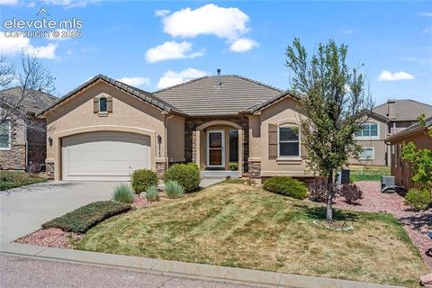 Photo of 2823 Cinnabar Road, Colorado Springs, CO 80921 (MLS # 5786577)