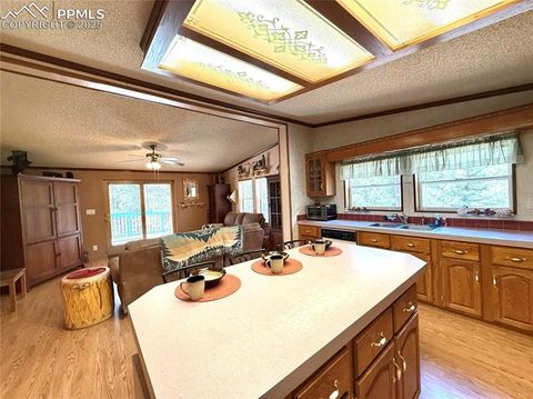Tiny photo for 17 Amanda Circle, Florissant, CO 80816 (MLS # 5285746)