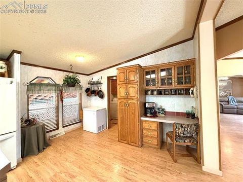 Tiny photo for 17 Amanda Circle, Florissant, CO 80816 (MLS # 5285746)