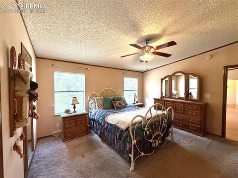 Tiny photo for 17 Amanda Circle, Florissant, CO 80816 (MLS # 5285746)
