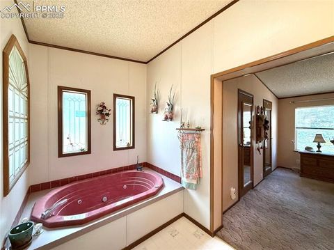 Tiny photo for 17 Amanda Circle, Florissant, CO 80816 (MLS # 5285746)