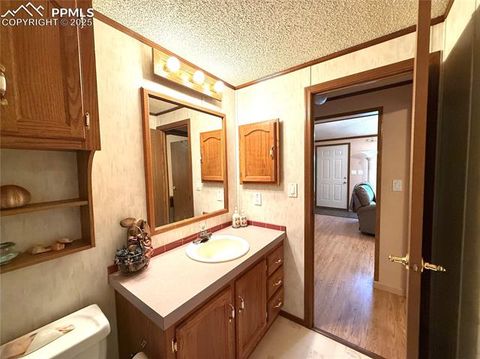 Tiny photo for 17 Amanda Circle, Florissant, CO 80816 (MLS # 5285746)