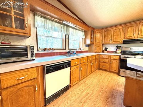 Tiny photo for 17 Amanda Circle, Florissant, CO 80816 (MLS # 5285746)