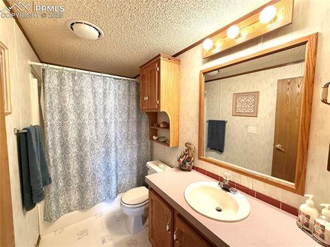 Tiny photo for 17 Amanda Circle, Florissant, CO 80816 (MLS # 5285746)