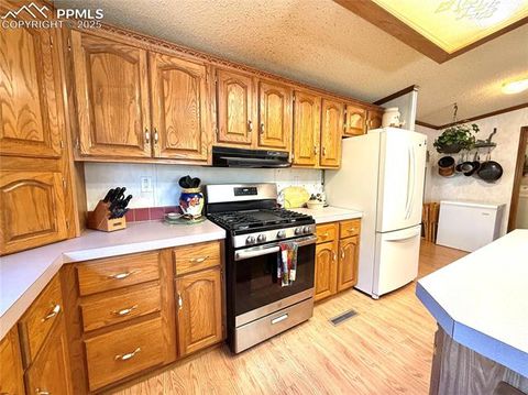 Tiny photo for 17 Amanda Circle, Florissant, CO 80816 (MLS # 5285746)