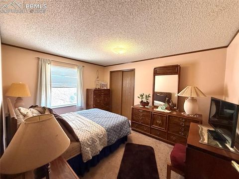 Tiny photo for 17 Amanda Circle, Florissant, CO 80816 (MLS # 5285746)