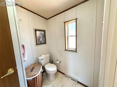 Tiny photo for 17 Amanda Circle, Florissant, CO 80816 (MLS # 5285746)