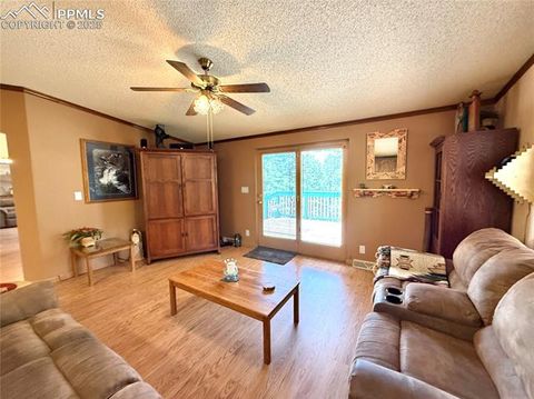 Tiny photo for 17 Amanda Circle, Florissant, CO 80816 (MLS # 5285746)