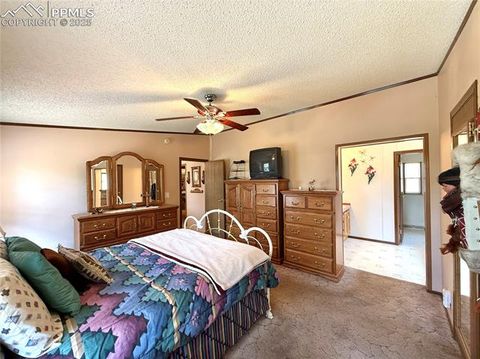Tiny photo for 17 Amanda Circle, Florissant, CO 80816 (MLS # 5285746)