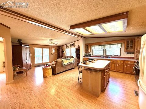 Tiny photo for 17 Amanda Circle, Florissant, CO 80816 (MLS # 5285746)