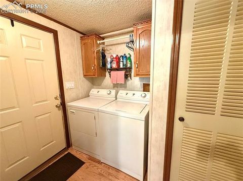 Tiny photo for 17 Amanda Circle, Florissant, CO 80816 (MLS # 5285746)