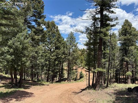 Tiny photo for 17 Amanda Circle, Florissant, CO 80816 (MLS # 5285746)