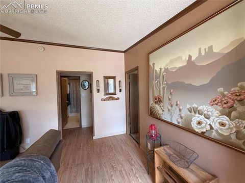 Tiny photo for 17 Amanda Circle, Florissant, CO 80816 (MLS # 5285746)