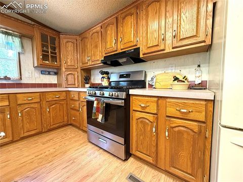 Tiny photo for 17 Amanda Circle, Florissant, CO 80816 (MLS # 5285746)
