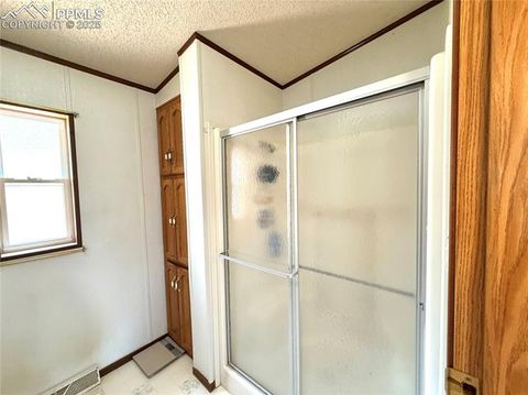 Tiny photo for 17 Amanda Circle, Florissant, CO 80816 (MLS # 5285746)