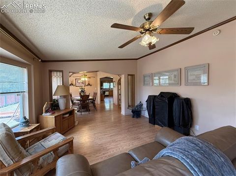 Tiny photo for 17 Amanda Circle, Florissant, CO 80816 (MLS # 5285746)