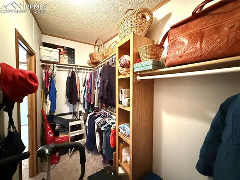 Tiny photo for 17 Amanda Circle, Florissant, CO 80816 (MLS # 5285746)