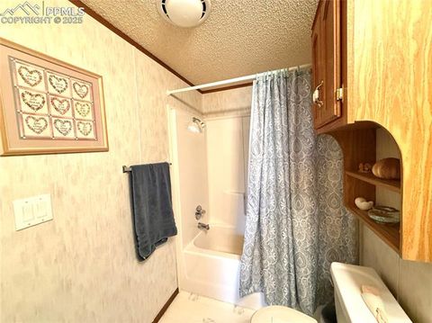 Tiny photo for 17 Amanda Circle, Florissant, CO 80816 (MLS # 5285746)