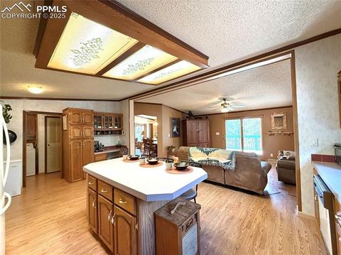 Tiny photo for 17 Amanda Circle, Florissant, CO 80816 (MLS # 5285746)