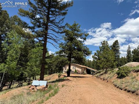 Tiny photo for 17 Amanda Circle, Florissant, CO 80816 (MLS # 5285746)
