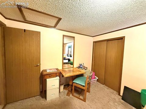 Tiny photo for 17 Amanda Circle, Florissant, CO 80816 (MLS # 5285746)