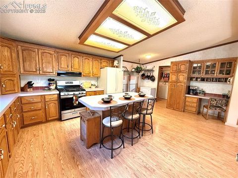 Tiny photo for 17 Amanda Circle, Florissant, CO 80816 (MLS # 5285746)