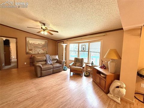 Tiny photo for 17 Amanda Circle, Florissant, CO 80816 (MLS # 5285746)