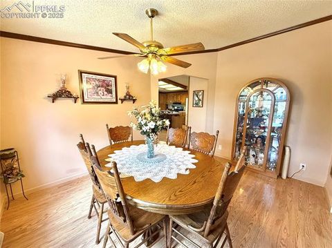 Tiny photo for 17 Amanda Circle, Florissant, CO 80816 (MLS # 5285746)