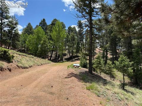Tiny photo for 17 Amanda Circle, Florissant, CO 80816 (MLS # 5285746)