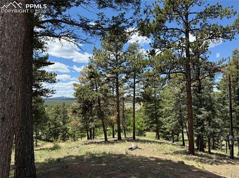 Tiny photo for 17 Amanda Circle, Florissant, CO 80816 (MLS # 5285746)