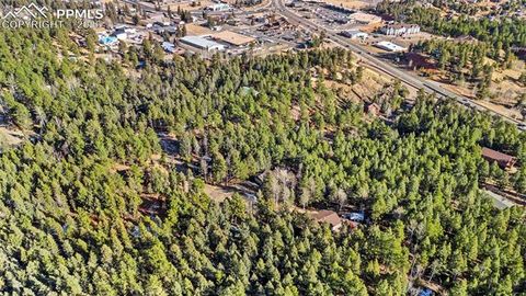 Tiny photo for 464 Evergreen Court, Woodland Park, CO 80863 (MLS # 1367750)