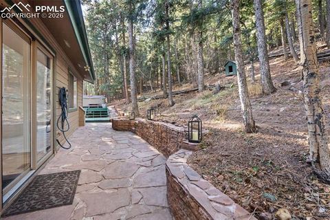 Tiny photo for 464 Evergreen Court, Woodland Park, CO 80863 (MLS # 1367750)