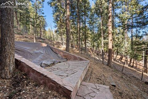 Tiny photo for 464 Evergreen Court, Woodland Park, CO 80863 (MLS # 1367750)