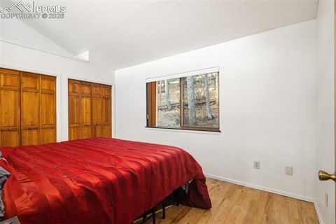 Tiny photo for 464 Evergreen Court, Woodland Park, CO 80863 (MLS # 1367750)