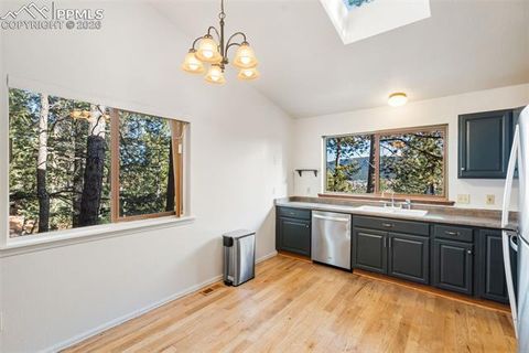 Tiny photo for 464 Evergreen Court, Woodland Park, CO 80863 (MLS # 1367750)