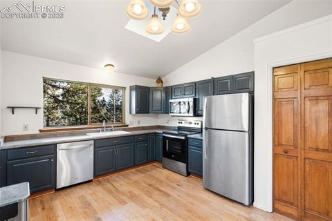 Tiny photo for 464 Evergreen Court, Woodland Park, CO 80863 (MLS # 1367750)