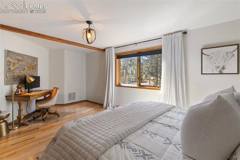 Tiny photo for 740 Lucky Lady Drive, Woodland Park, CO 80863 (MLS # 8522331)