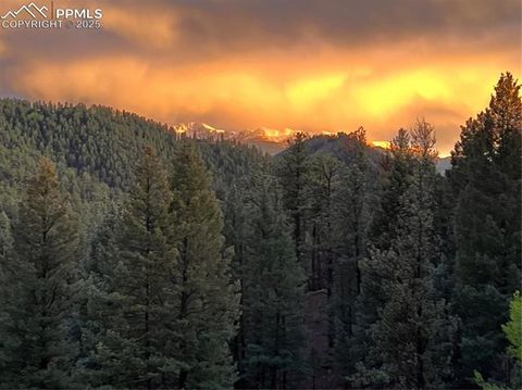 Tiny photo for 740 Lucky Lady Drive, Woodland Park, CO 80863 (MLS # 8522331)