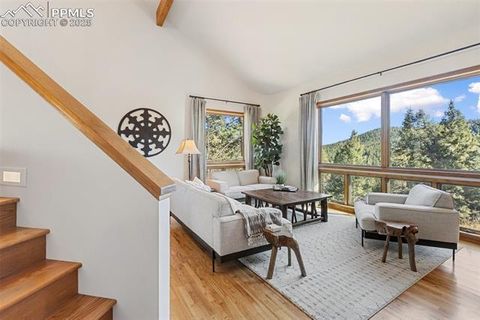 Tiny photo for 740 Lucky Lady Drive, Woodland Park, CO 80863 (MLS # 8522331)