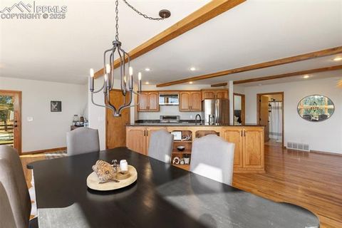 Tiny photo for 740 Lucky Lady Drive, Woodland Park, CO 80863 (MLS # 8522331)