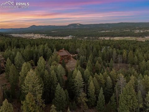 Tiny photo for 740 Lucky Lady Drive, Woodland Park, CO 80863 (MLS # 8522331)