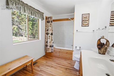 Tiny photo for 81 Pamona Lake Drive, Divide, CO 80814 (MLS # 5492676)