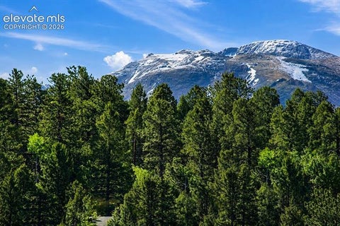 Tiny photo for 81 Pamona Lake Drive, Divide, CO 80814 (MLS # 5492676)