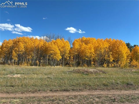 Tiny photo for 3153 Homestake Place, Florissant, CO 80816 (MLS # 3678093)