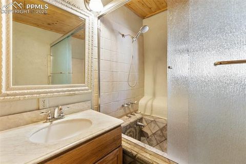 Tiny photo for 3153 Homestake Place, Florissant, CO 80816 (MLS # 3678093)